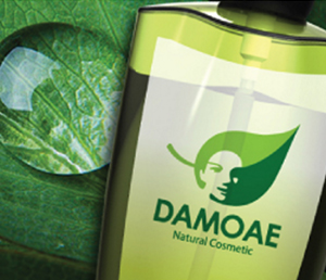 DAMOAE-300x258